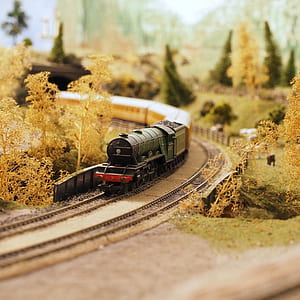 Black and Red Miniature Train Surrounded by Artificial Trees and Grass thumbnail