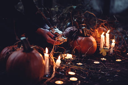 person holding crop near pumpkin thumbnail