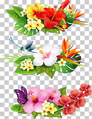 1 664 tropical flowers png cliparts for free download uihere tropical flower drawing