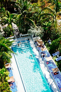 top view photo of swimming pool with trees thumbnail