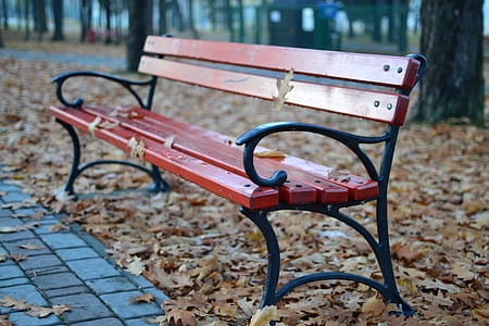 dried leaf on empty bench thumbnail
