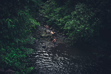 three men standing on river between trees thumbnail