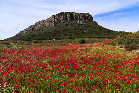 photo of mountain during daytime thumbnail