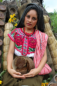 woman wearing red, white, and brown sari dress thumbnail