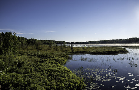 Lake and wetland area in Chequamegon National Forest, Wisconsin thumbnail