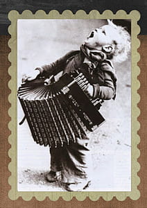 boy playing accordion thumbnail