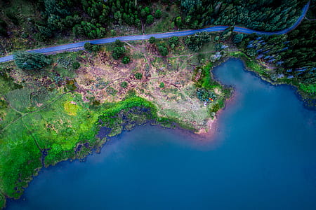 aerial photo of body of water and trees thumbnail