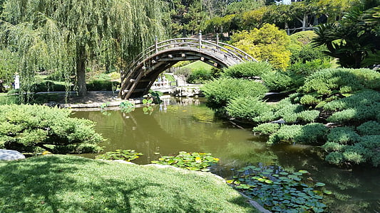 bridge over calm body of water surrounded by trees thumbnail