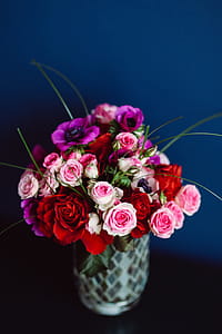 Neatly arranged flowers in a vase thumbnail