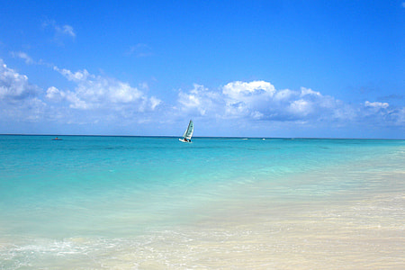 yellow sailboat on body of water at daytime thumbnail