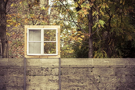 square white and brown wooden window frame near trees thumbnail