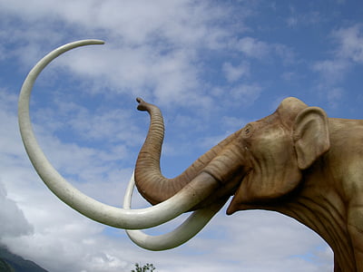 brown elephant illustration thumbnail