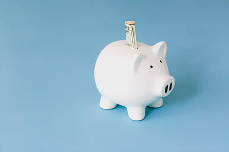Money In The Bank Photo thumbnail