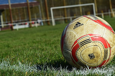 adidas soccer ball on grass thumbnail