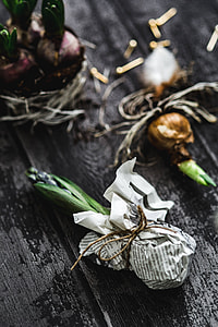 Woman making a little ornamental seedling in a small jar thumbnail
