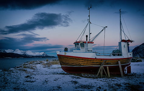 white and brown fishing boat on land thumbnail