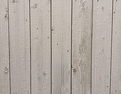 white wooden fence thumbnail