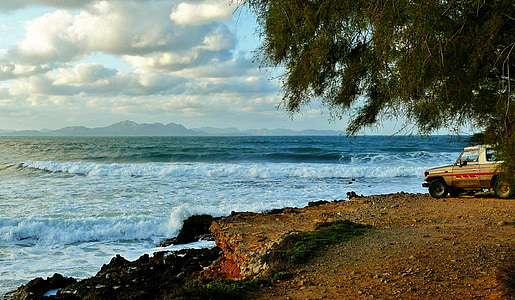 coast beside trees thumbnail