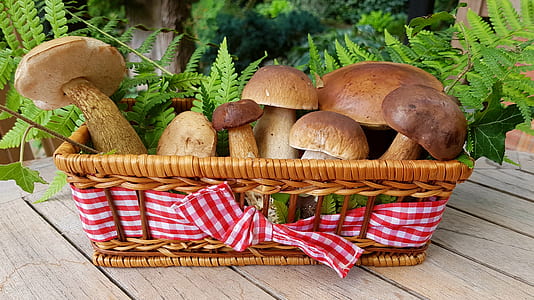 brown mushrooms in brown wicker basket thumbnail