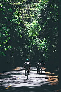 person riding bike thumbnail