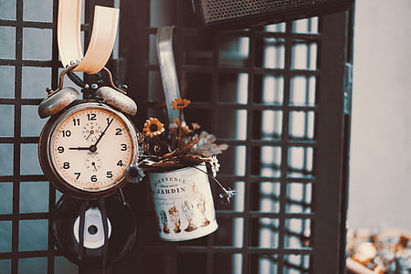 twin-bell alarm clock beside plant pot thumbnail