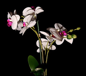 white and grene flowers thumbnail