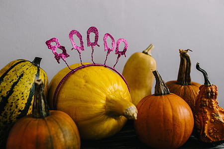Pumpkins & Halloween thumbnail