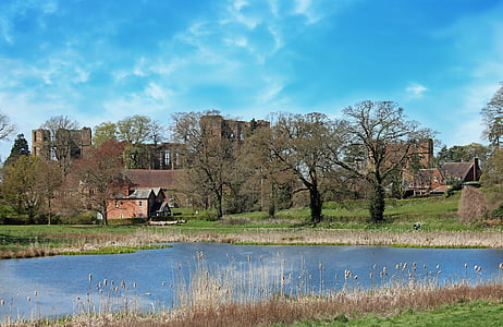 photo of body of water between trees and grass thumbnail