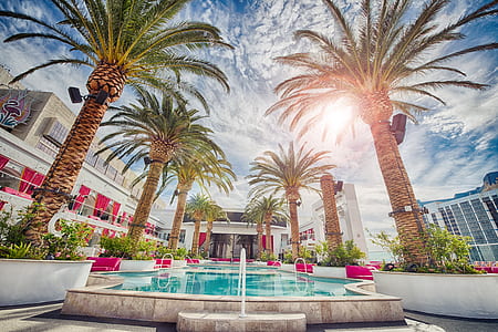 pool surrounded with palm trees during daytime thumbnail