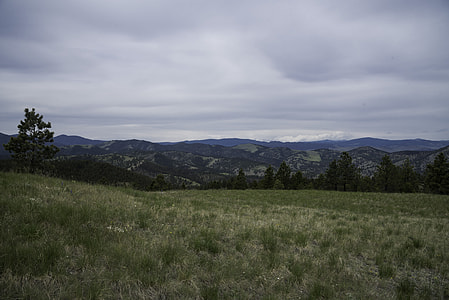 Hills and grassy landscape in Helena thumbnail