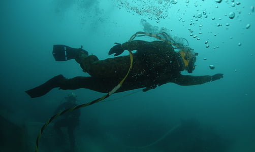 diver on blue sea thumbnail