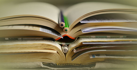 closeup photography of two purple and green color pencils on brown book thumbnail