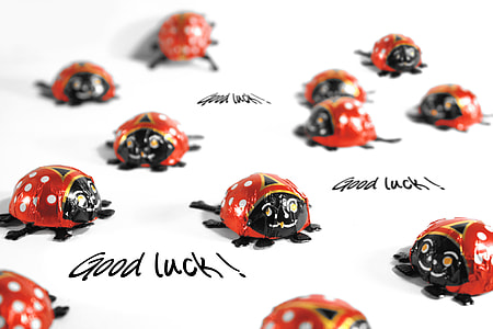 ladybag porcelain decors with Good Luck text overlay thumbnail