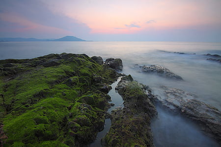 moss covered rock near body of water during daytime thumbnail