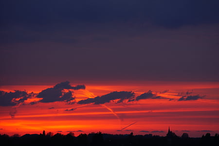 silhouette of trees under red sky thumbnail