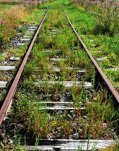 grasses on train railway thumbnail