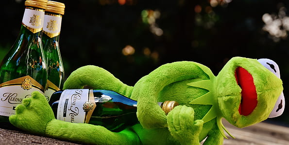 Kermit the frog plush toy hugging green and white label bottle thumbnail