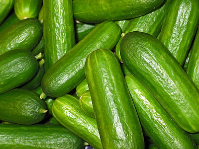 bunch of cucumbers thumbnail