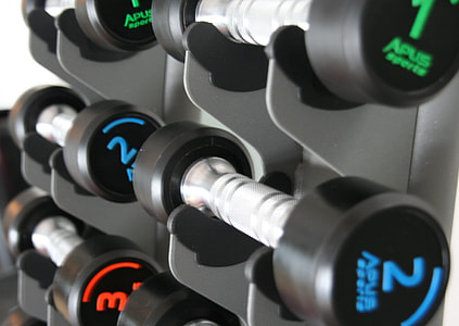 file of black dumbbells thumbnail