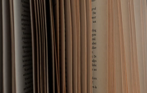 close-up photo of book pages thumbnail