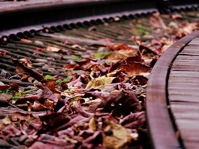Brown Dried Leaf over Black Rail thumbnail