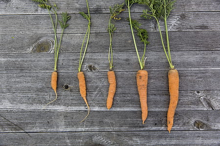 five carrots on top of gray wooden surface thumbnail