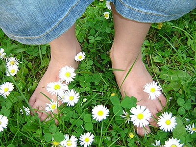 person standing on aster flower field thumbnail