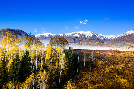 mountain field with snow during daytime thumbnail