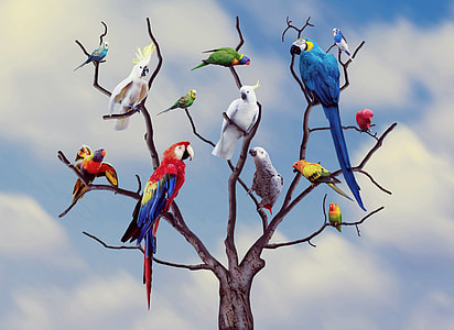 photo of birds on leafless tree thumbnail