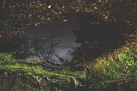 dawn, landscape, nature, sky thumbnail