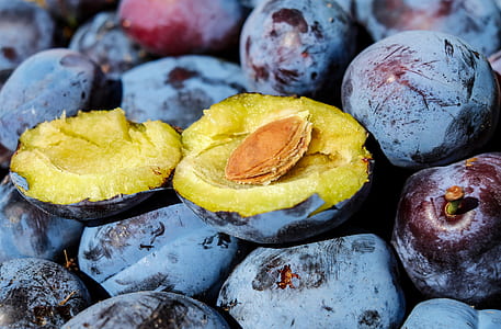 photo of blueberries thumbnail