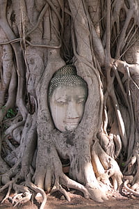 Gautama Buddha head figurine under tree thumbnail