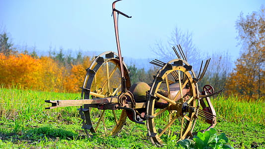 landscape, nature, field, trees thumbnail
