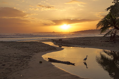 body of water ear seashore during sunset thumbnail